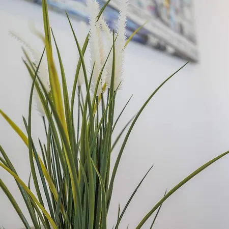 Terracos De 2 Red By Real * Quarteira