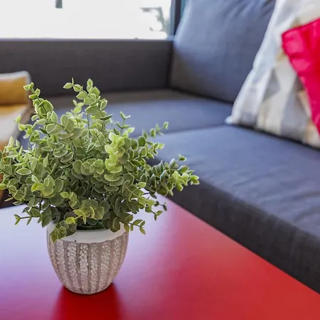 Apartment Terracos De 2 Red By Real Quarteira